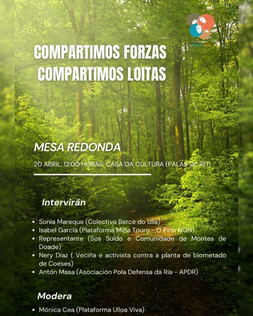 Cartaz da mesa redonda: Compartimos forzas, compartimos loitas