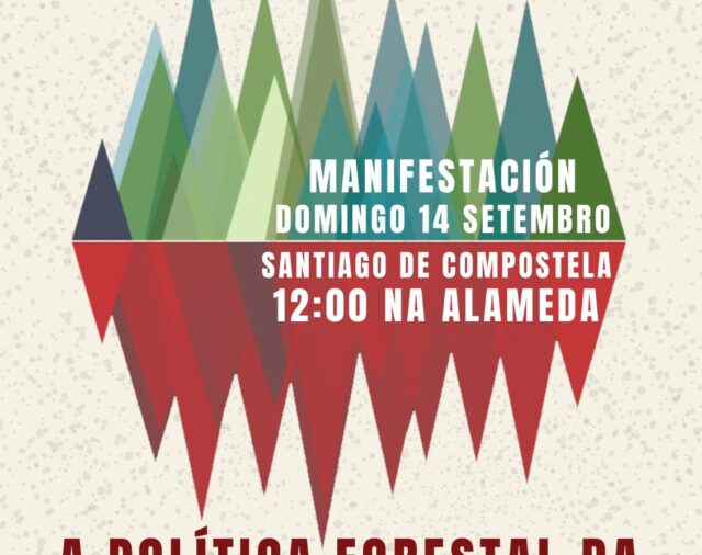 Manifestación contra os lumes